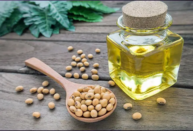 Refined Soybean Oil