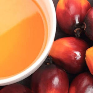 Crude Palm Oil (CPO)
