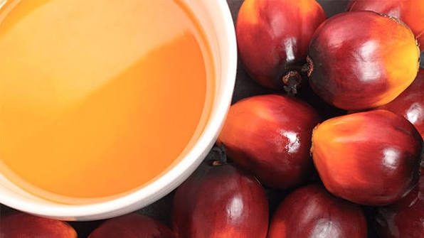 Crude Palm Oil (CPO)